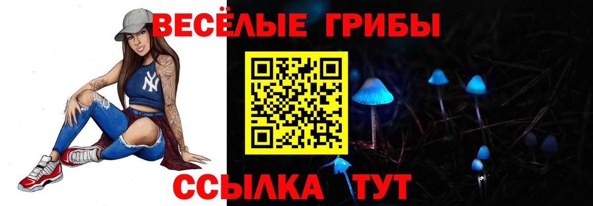 Луховицы  Галлюциногенные грибы мицелий  Вход с VPN  Галлюциногенные грибы Cubensis 